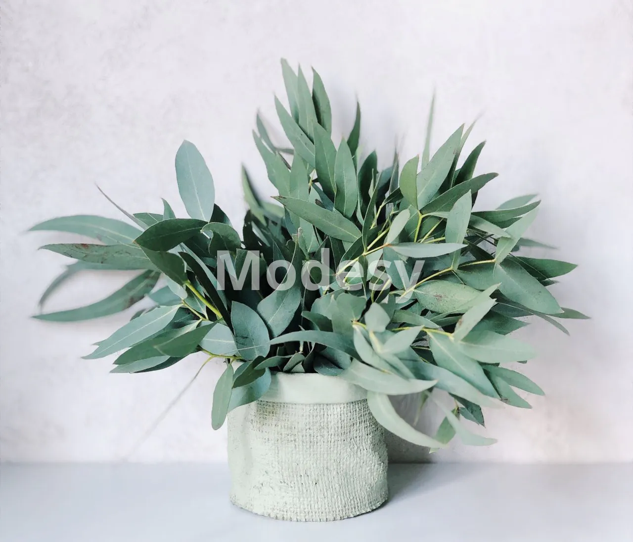 جميع المولدات على الإنترنت